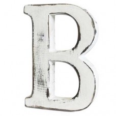 Wooden alphabet letter B
