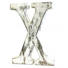 Wooden alphabet letter X