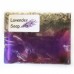 Lavender & Jojoba shampoo