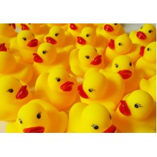 Mini Yellow Rubber Ducks, a dozen